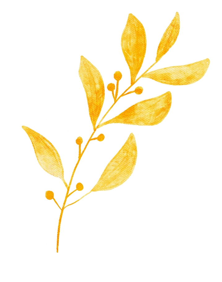 瞬楽道 左
