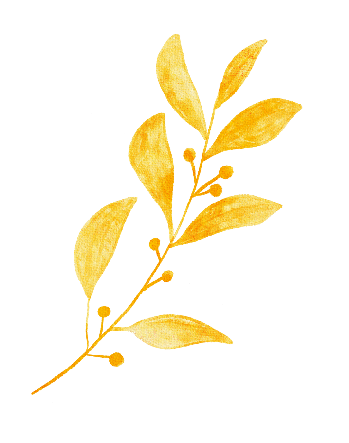 瞬楽道　右